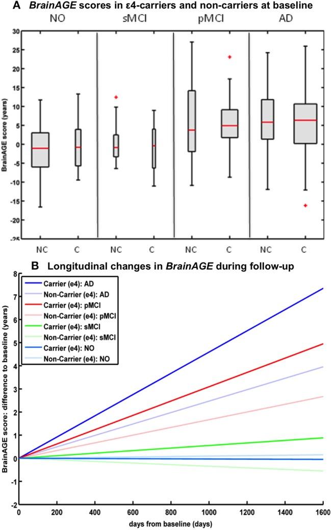 https://cdn.ncbi.nlm.nih.gov/pmc/blobs/1137/6702897/f7338b8d5bf8/fneur-10-00789-g0006.jpg
