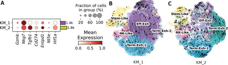 https://cdn.ncbi.nlm.nih.gov/pmc/blobs/1148/11785530/e35bca4f7e3a/41590_2024_2044_Fig12_ESM.jpg