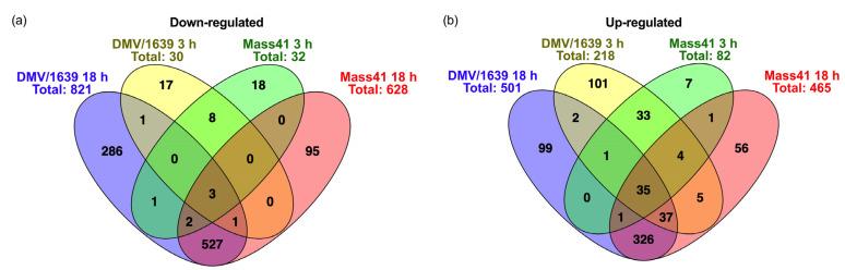 https://cdn.ncbi.nlm.nih.gov/pmc/blobs/1151/11053446/0cb925e0d8a1/viruses-16-00605-g004.jpg