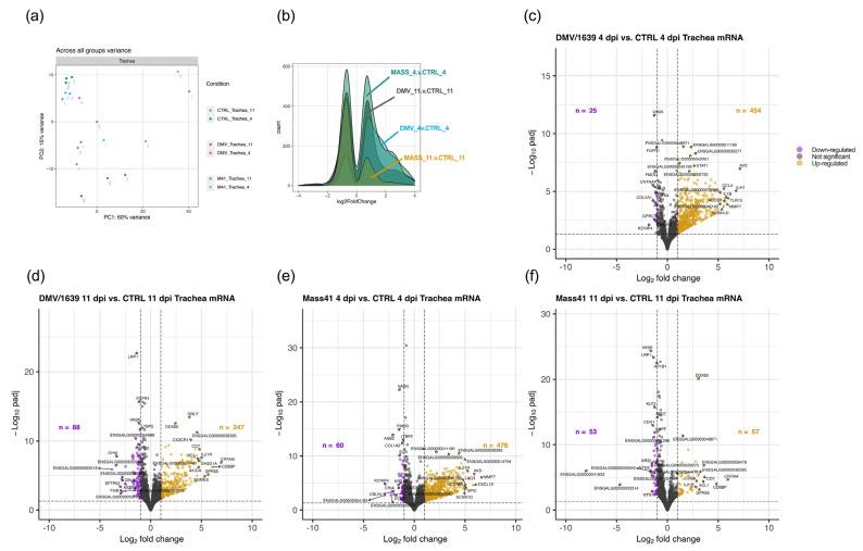 https://cdn.ncbi.nlm.nih.gov/pmc/blobs/1151/11053446/9d9bce42e029/viruses-16-00605-g007.jpg