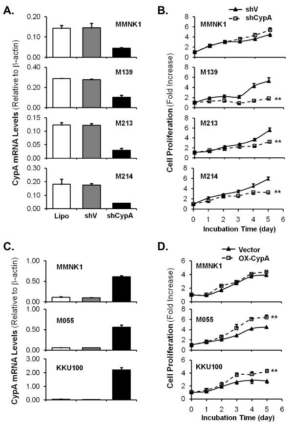 https://cdn.ncbi.nlm.nih.gov/pmc/blobs/115a/3173387/cefe590cc122/1476-4598-10-102-5.jpg
