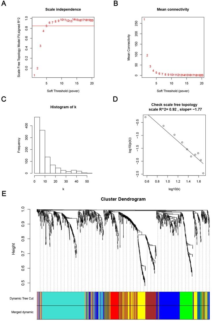 https://cdn.ncbi.nlm.nih.gov/pmc/blobs/115f/5859473/83997a68e15d/ijbsv14p0266g006.jpg