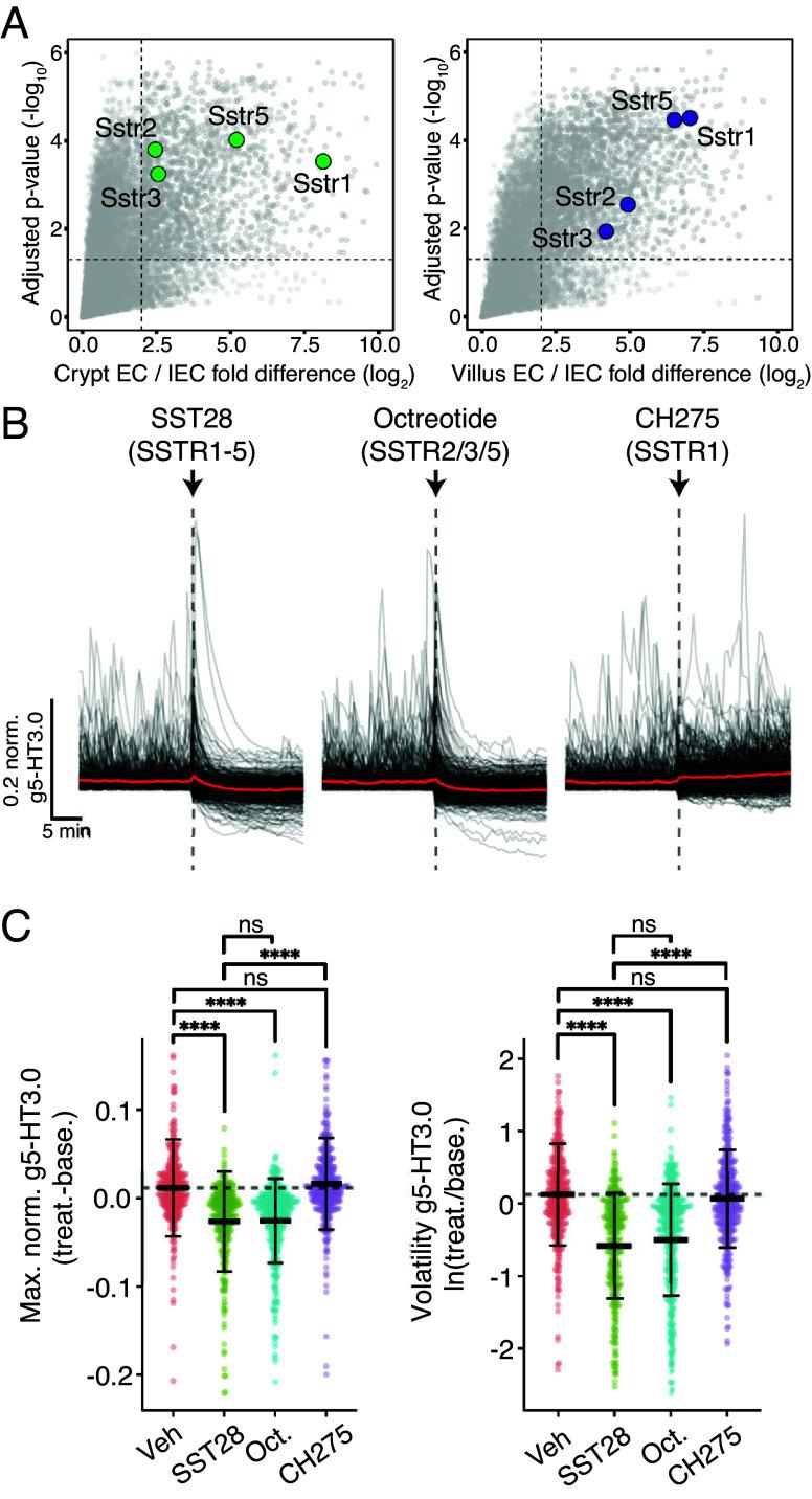 https://cdn.ncbi.nlm.nih.gov/pmc/blobs/1172/12088456/518d7a3cc92e/pnas.2501525122fig03.jpg