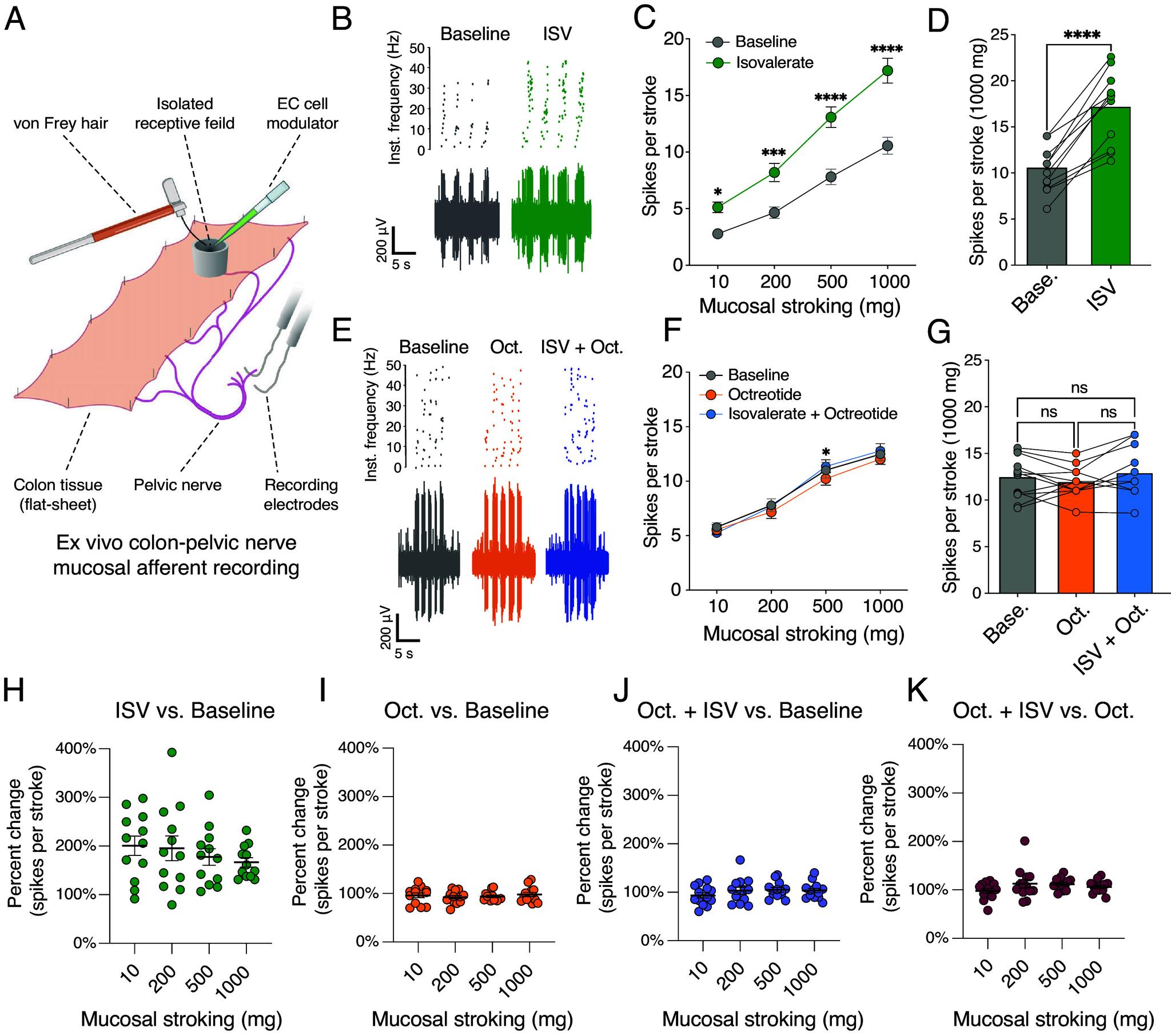 https://cdn.ncbi.nlm.nih.gov/pmc/blobs/1172/12088456/d4c62121ba07/pnas.2501525122fig06.jpg