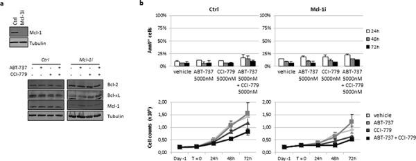 https://cdn.ncbi.nlm.nih.gov/pmc/blobs/117a/4741661/89ead1e37443/oncotarget-06-32089-g007.jpg