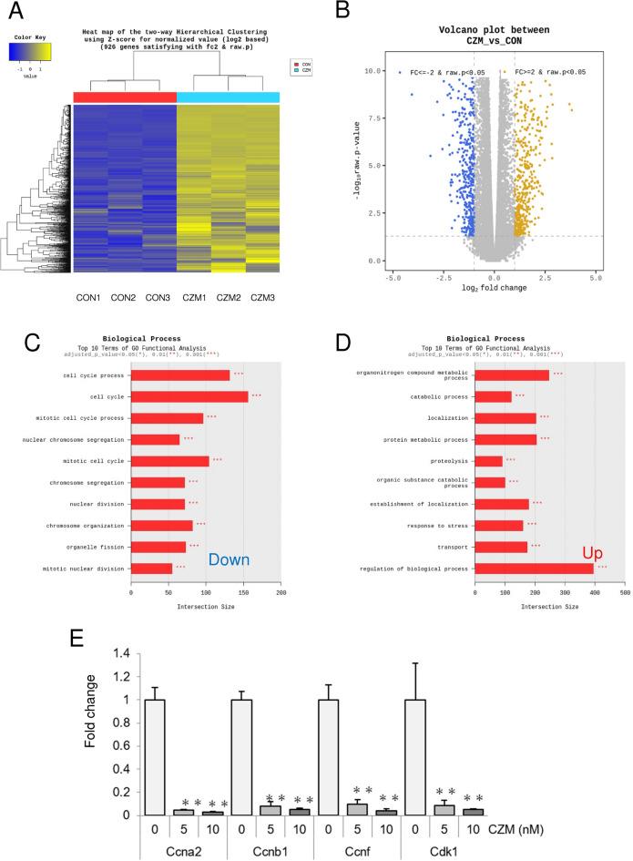 https://cdn.ncbi.nlm.nih.gov/pmc/blobs/117c/11335859/6bd6d3c806f6/41598_2024_70296_Fig5_HTML.jpg