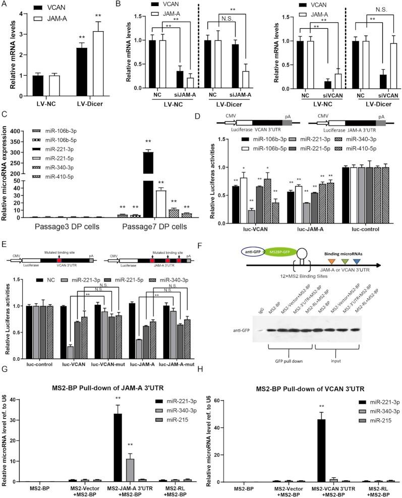 https://cdn.ncbi.nlm.nih.gov/pmc/blobs/1189/9486988/1f0d50d1d666/pbac020fig3.jpg