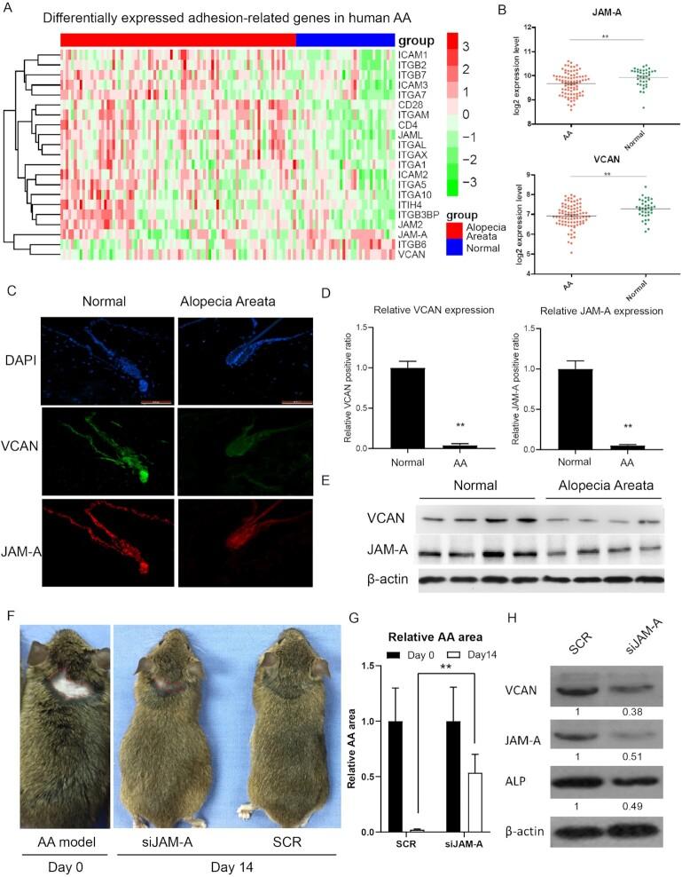 https://cdn.ncbi.nlm.nih.gov/pmc/blobs/1189/9486988/7acabbc37f5d/pbac020fig1.jpg