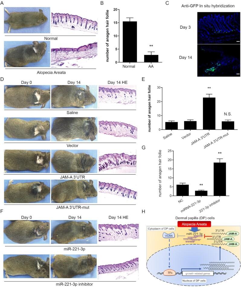 https://cdn.ncbi.nlm.nih.gov/pmc/blobs/1189/9486988/e91ca4dd9466/pbac020fig6.jpg