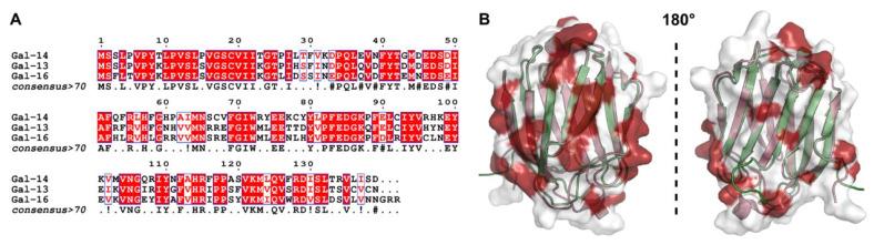 https://cdn.ncbi.nlm.nih.gov/pmc/blobs/11a4/9914345/46c62f9c0105/cells-12-00437-g005.jpg