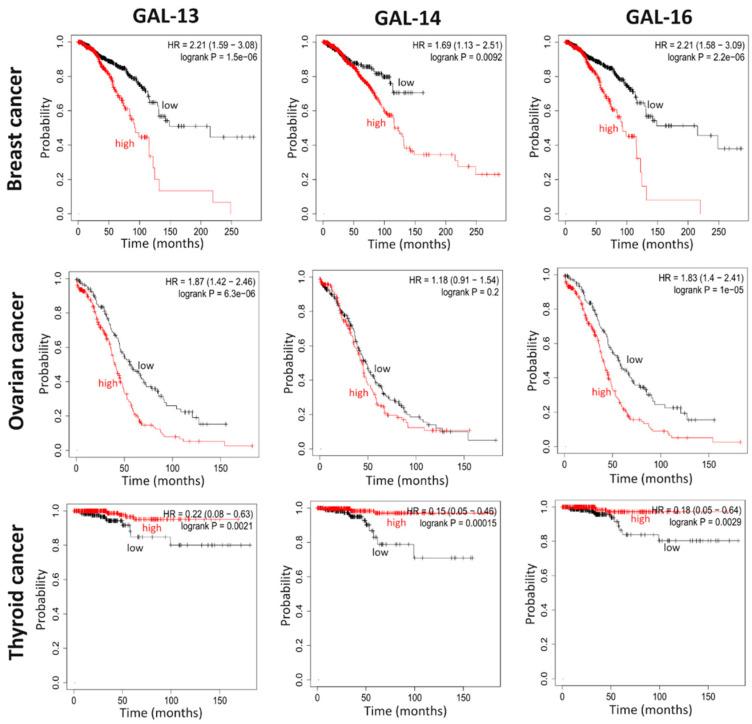https://cdn.ncbi.nlm.nih.gov/pmc/blobs/11a4/9914345/ed58f59ab3bd/cells-12-00437-g003.jpg