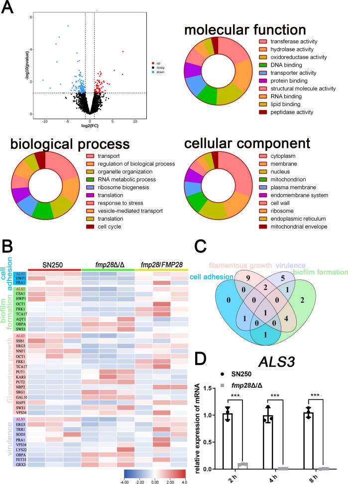 https://cdn.ncbi.nlm.nih.gov/pmc/blobs/11a8/12345260/1901d8863f1c/mbio.01253-25.f004.jpg