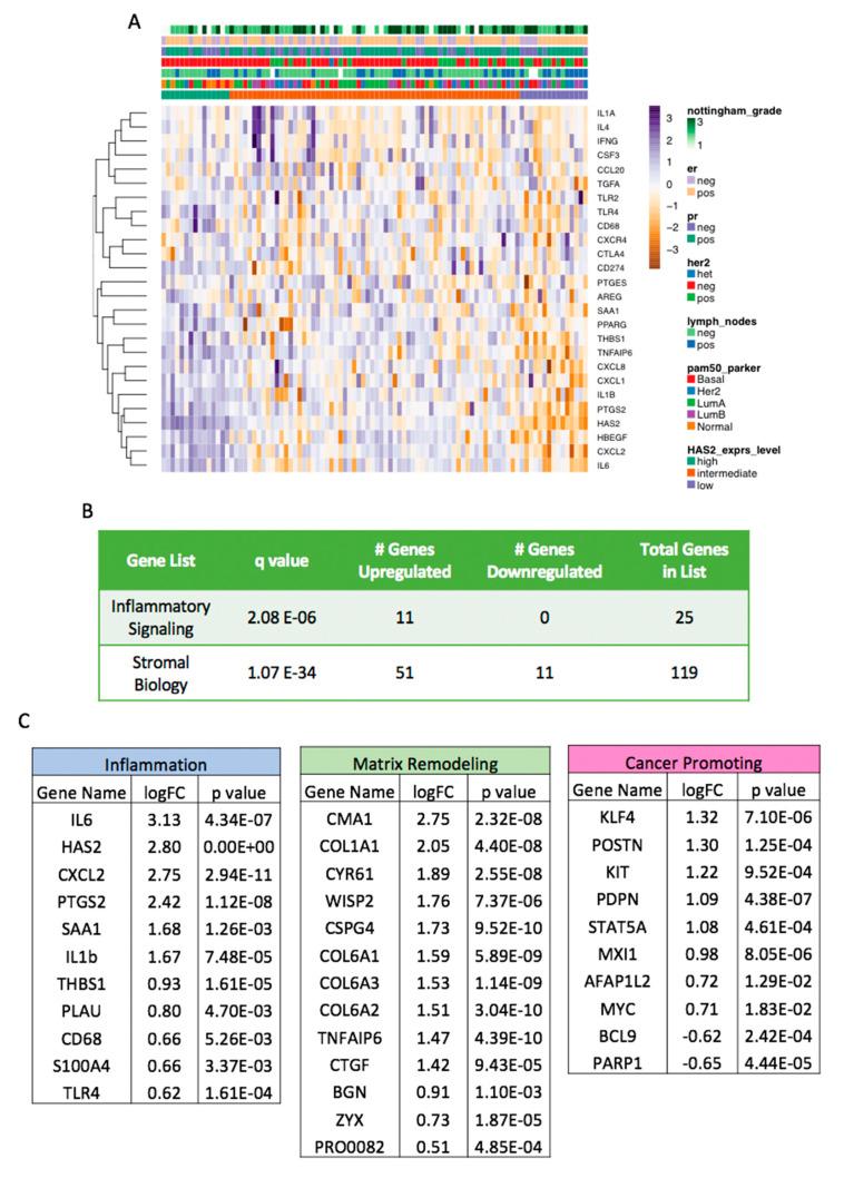 https://cdn.ncbi.nlm.nih.gov/pmc/blobs/11ae/7281239/4e0b67ca7c14/cancers-12-01325-g007.jpg