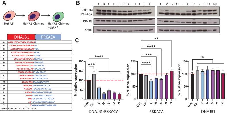 https://cdn.ncbi.nlm.nih.gov/pmc/blobs/11b0/9811160/af86bf385fb3/271fig1.jpg