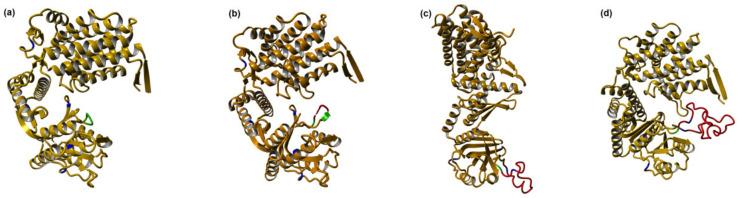 https://cdn.ncbi.nlm.nih.gov/pmc/blobs/11c3/9138447/00ef73ab5b55/biomolecules-12-00607-g002.jpg