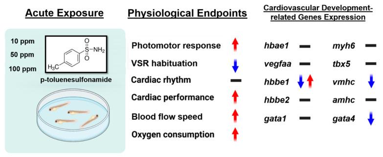 https://cdn.ncbi.nlm.nih.gov/pmc/blobs/11d9/9405983/936adc0a8585/biomolecules-12-01103-g009.jpg