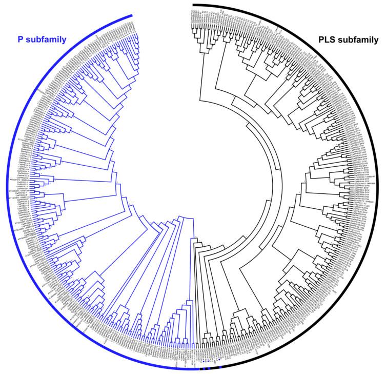 https://cdn.ncbi.nlm.nih.gov/pmc/blobs/11f6/7650700/a0eac0132dc4/genes-11-01125-g003.jpg
