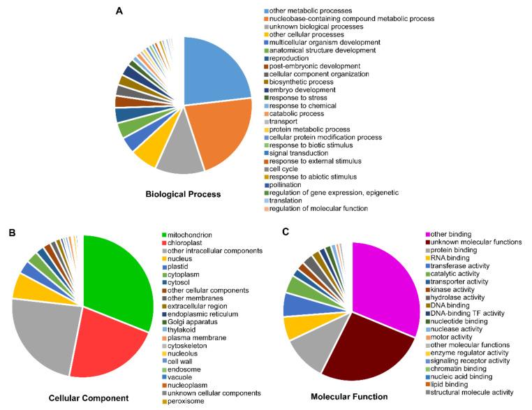 https://cdn.ncbi.nlm.nih.gov/pmc/blobs/11f6/7650700/b4a38eeaecd2/genes-11-01125-g004.jpg
