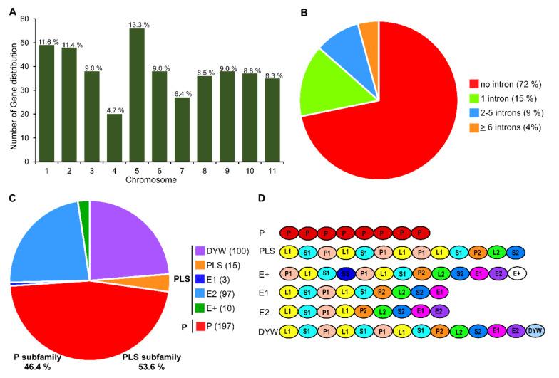 https://cdn.ncbi.nlm.nih.gov/pmc/blobs/11f6/7650700/d177988e5d09/genes-11-01125-g001.jpg