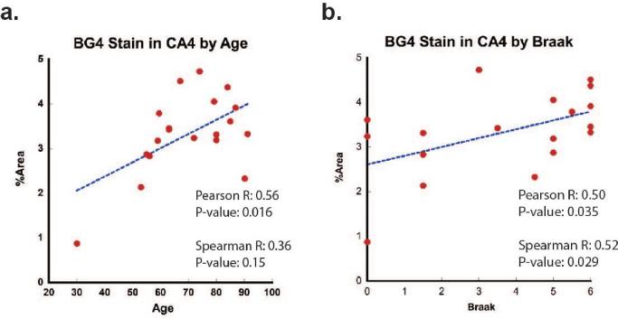 https://cdn.ncbi.nlm.nih.gov/pmc/blobs/1200/11850002/2dc4afb7c64a/elife-105446-fig2-figsupp2.jpg