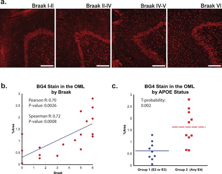 https://cdn.ncbi.nlm.nih.gov/pmc/blobs/1200/11850002/defdd405d2f2/elife-105446-fig2.jpg