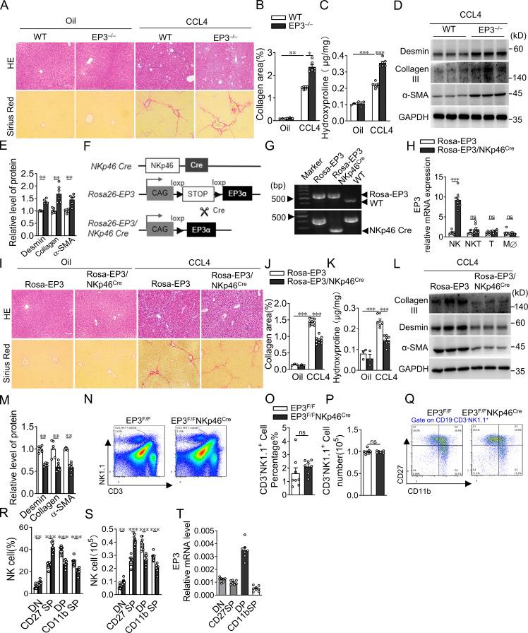 https://cdn.ncbi.nlm.nih.gov/pmc/blobs/1208/9014794/4e4f5ff556fd/JEM_20212414_FigS1.jpg