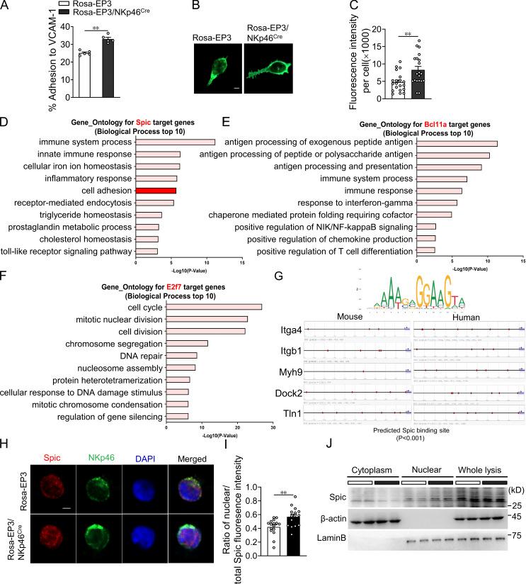 https://cdn.ncbi.nlm.nih.gov/pmc/blobs/1208/9014794/96eaab335847/JEM_20212414_FigS5.jpg