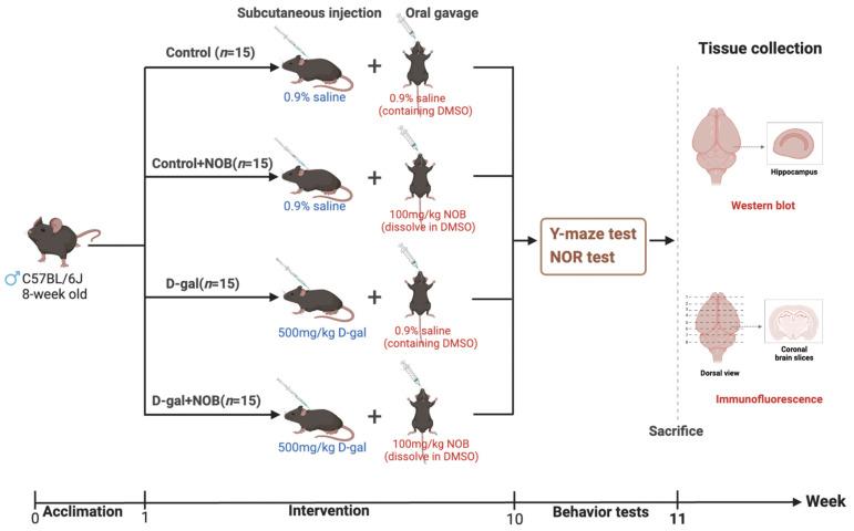 https://cdn.ncbi.nlm.nih.gov/pmc/blobs/120c/10181043/6af4513a1da0/nutrients-15-02228-g001.jpg