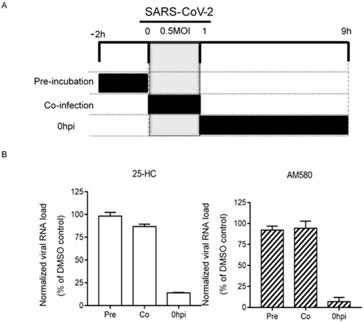 https://cdn.ncbi.nlm.nih.gov/pmc/blobs/1214/7354423/6710be5c1619/viruses-12-00628-g005.jpg