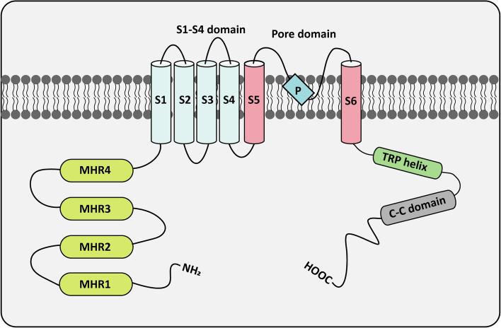 https://cdn.ncbi.nlm.nih.gov/pmc/blobs/121d/11616203/3e3c78aa3472/40364_2024_699_Fig1_HTML.jpg