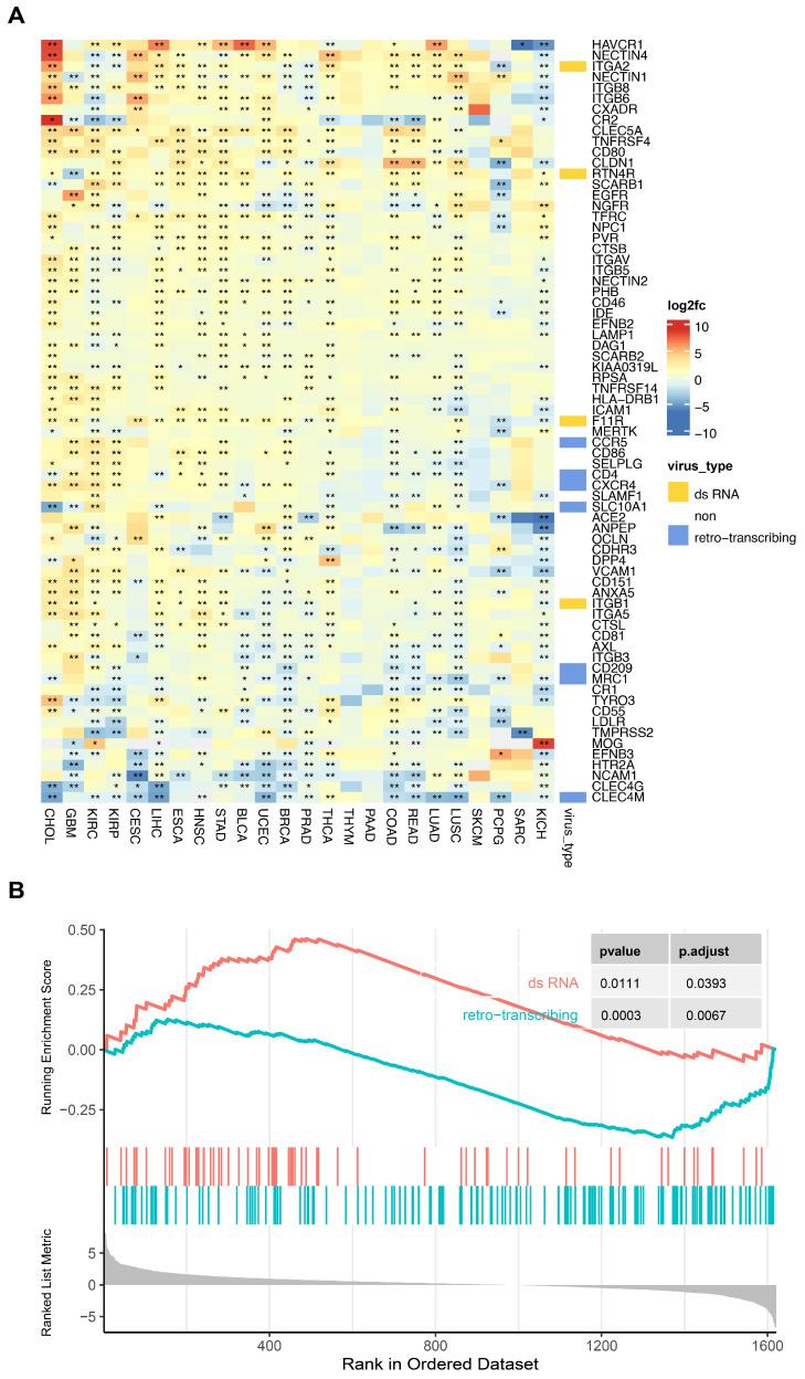 https://cdn.ncbi.nlm.nih.gov/pmc/blobs/1220/11118183/3971d98ecf4f/biomolecules-14-00516-g009.jpg