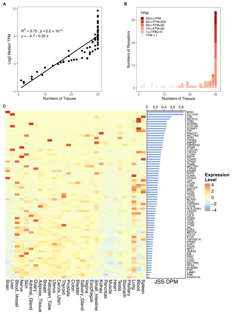 https://cdn.ncbi.nlm.nih.gov/pmc/blobs/1220/11118183/755f22131110/biomolecules-14-00516-g007.jpg