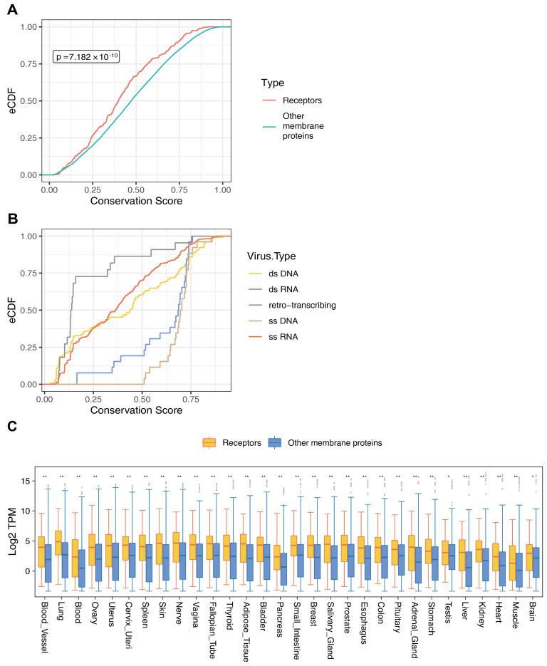 https://cdn.ncbi.nlm.nih.gov/pmc/blobs/1220/11118183/79e42c44b9bc/biomolecules-14-00516-g006.jpg