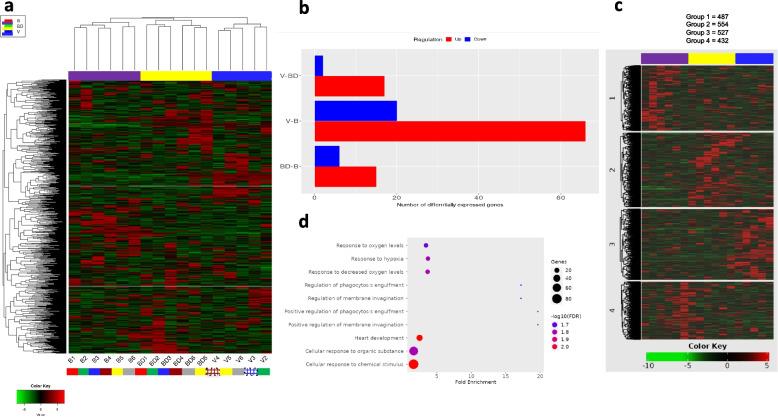 https://cdn.ncbi.nlm.nih.gov/pmc/blobs/1236/10729396/c5ebeec2542f/12864_2023_9873_Fig1_HTML.jpg