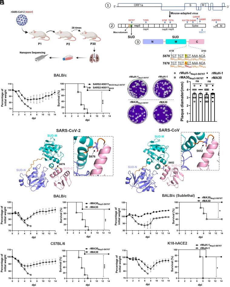 https://cdn.ncbi.nlm.nih.gov/pmc/blobs/123a/10400999/2028f4debcc2/pnas.2305674120fig01.jpg