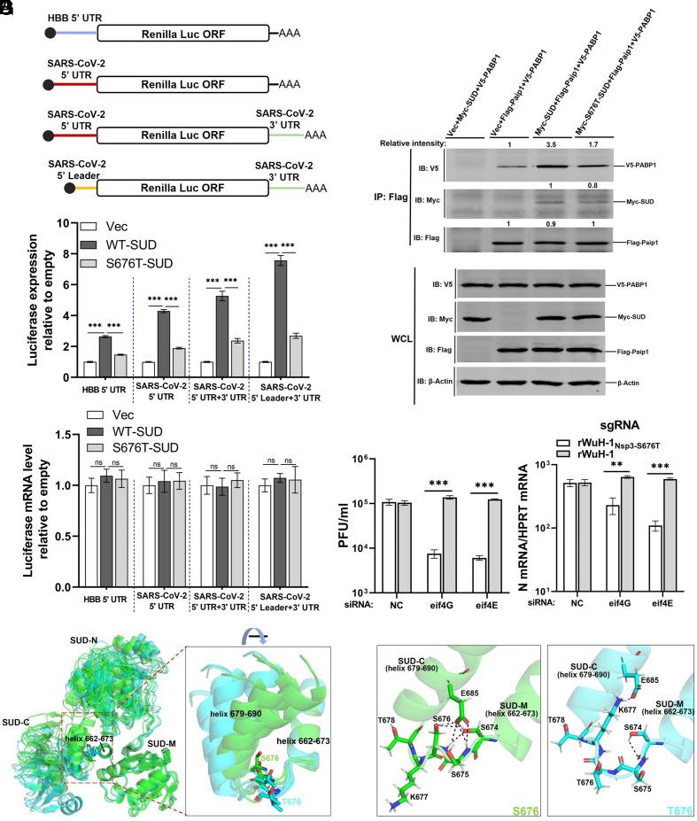 https://cdn.ncbi.nlm.nih.gov/pmc/blobs/123a/10400999/2769f72d3bf7/pnas.2305674120fig04.jpg