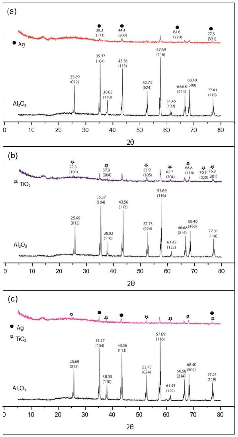 https://cdn.ncbi.nlm.nih.gov/pmc/blobs/1246/11356132/3a148314cf04/microorganisms-12-01583-g005.jpg