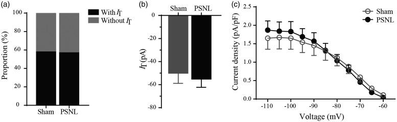 https://cdn.ncbi.nlm.nih.gov/pmc/blobs/1253/6458665/30b00c835178/10.1177_1744806919836569-fig5.jpg