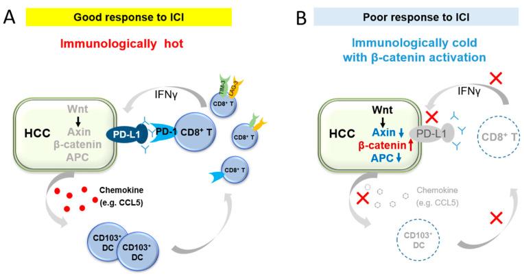 https://cdn.ncbi.nlm.nih.gov/pmc/blobs/1261/10136695/44906819b52e/cancers-15-02311-g002.jpg