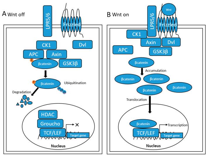 https://cdn.ncbi.nlm.nih.gov/pmc/blobs/1261/10136695/f1a34341729a/cancers-15-02311-g001.jpg