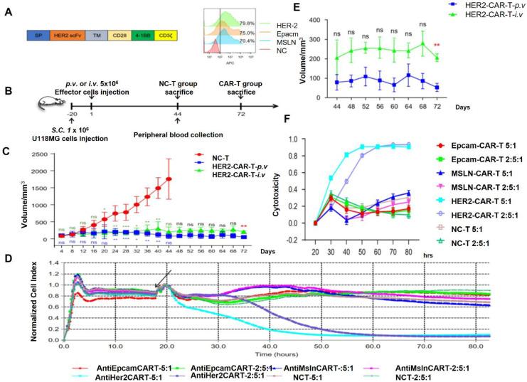 https://cdn.ncbi.nlm.nih.gov/pmc/blobs/1269/12204080/d39055c4cd20/thnov15p7090g011.jpg