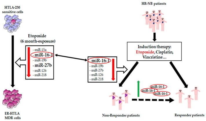 https://cdn.ncbi.nlm.nih.gov/pmc/blobs/127e/7916079/0a87b8122a08/jpm-11-00107-g007.jpg