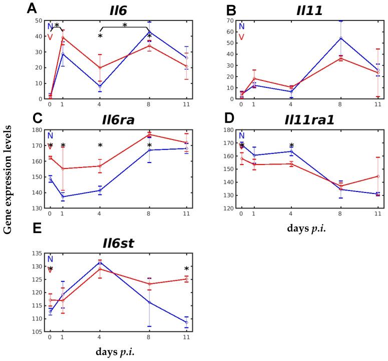 https://cdn.ncbi.nlm.nih.gov/pmc/blobs/128d/11989154/b88768eb420f/ijms-26-03173-g008.jpg