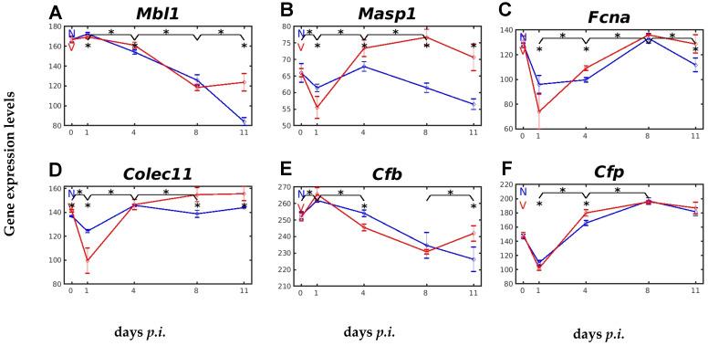 https://cdn.ncbi.nlm.nih.gov/pmc/blobs/128d/11989154/fd7dad4feceb/ijms-26-03173-g005.jpg