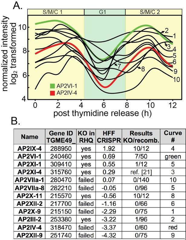 https://cdn.ncbi.nlm.nih.gov/pmc/blobs/12b8/5951591/3e8fe446bc19/ppat.1007035.g001.jpg
