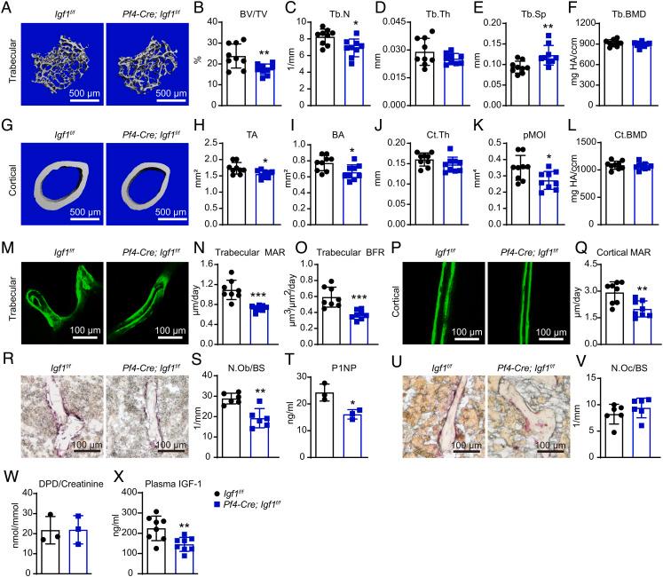 https://cdn.ncbi.nlm.nih.gov/pmc/blobs/12b8/9910602/a98cfdf8e335/pnas.2203779120fig05.jpg