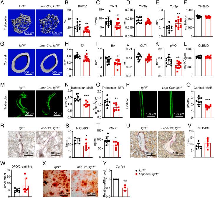 https://cdn.ncbi.nlm.nih.gov/pmc/blobs/12b8/9910602/f1ddf1b24a70/pnas.2203779120fig02.jpg