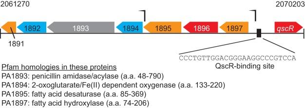 https://cdn.ncbi.nlm.nih.gov/pmc/blobs/12bf/6113619/5e1795531a5d/mbo0041840350001.jpg