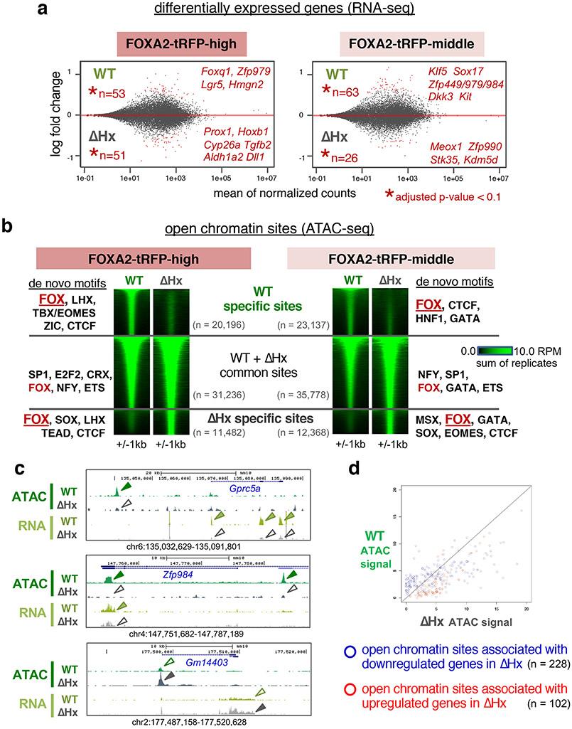 https://cdn.ncbi.nlm.nih.gov/pmc/blobs/12d8/7901023/19afcd928a02/nihms-1562321-f0005.jpg