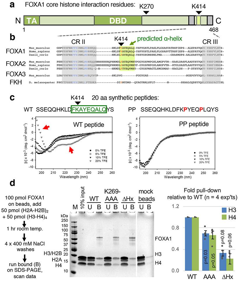 https://cdn.ncbi.nlm.nih.gov/pmc/blobs/12d8/7901023/3e3212159322/nihms-1562321-f0001.jpg